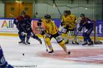 Photo hockey match Rouen - Angers  le 30/08/2017