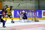 Photo hockey match Rouen - Angers  le 30/08/2017