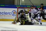 Photo hockey match Rouen - Angers  le 28/11/2017