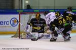 Photo hockey match Rouen - Angers  le 28/11/2017