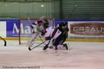 Photo hockey match Rouen - Angers  le 23/02/2018