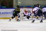 Photo hockey match Rouen - Angers  le 24/02/2018