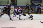 Photo hockey match Rouen - Angers  le 02/03/2018