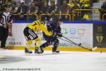 Photo hockey match Rouen - Angers  le 22/08/2018