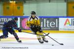 Photo hockey match Rouen - Angers  le 22/08/2018