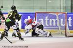 Photo hockey match Rouen - Angers  le 28/09/2018