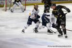 Photo hockey match Rouen - Angers  le 04/03/2026