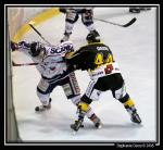 Photo hockey match Rouen - Angers  le 30/09/2008