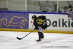 Photo hockey match Rouen - Angers  le 09/10/2012