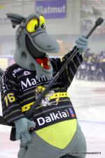 Photo hockey match Rouen - Angers  le 08/01/2013