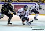 Photo hockey match Rouen - Angers  le 08/01/2013
