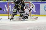Photo hockey match Rouen - Angers  le 08/01/2013