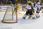 Photo hockey match Rouen - Angers  le 30/03/2013