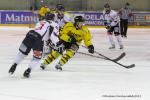 Photo hockey match Rouen - Angers  le 30/03/2013