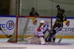 Photo hockey match Rouen - Anglet le 08/09/2017