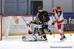 Photo hockey match Rouen - Anglet le 05/01/2020