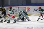 Photo hockey match Rouen - Anglet le 13/02/2024