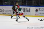 Photo hockey match Rouen - Anglet le 13/02/2024