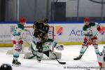 Photo hockey match Rouen - Anglet le 13/02/2024