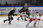 Photo hockey match Rouen - Anglet le 13/02/2024