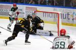 Photo hockey match Rouen - Anglet le 05/12/2025
