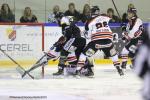 Photo hockey match Rouen - Bordeaux le 24/10/2015