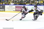 Photo hockey match Rouen - Bordeaux le 24/10/2015