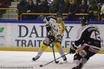 Photo hockey match Rouen - Bordeaux le 03/01/2017