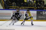 Photo hockey match Rouen - Bordeaux le 03/01/2017