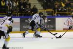 Photo hockey match Rouen - Bordeaux le 03/01/2017