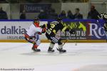 Photo hockey match Rouen - Bordeaux le 27/01/2017