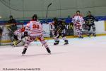 Photo hockey match Rouen - Bordeaux le 09/02/2018