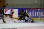 Photo hockey match Rouen - Bordeaux le 07/10/2018