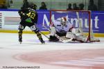 Photo hockey match Rouen - Bordeaux le 28/12/2018