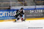 Photo hockey match Rouen - Bordeaux le 18/03/2021