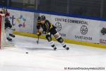 Photo hockey match Rouen - Bordeaux le 14/01/2024