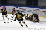 Photo hockey match Rouen - Bordeaux le 14/01/2024