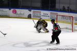 Photo hockey match Rouen - Bordeaux le 14/01/2024
