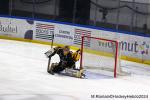 Photo hockey match Rouen - Bordeaux le 06/04/2024