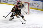 Photo hockey match Rouen - Bordeaux le 06/04/2024