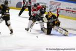 Photo hockey match Rouen - Bordeaux le 13/04/2024