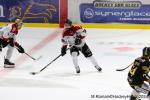 Photo hockey match Rouen - Bordeaux le 13/04/2024