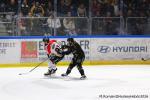 Photo hockey match Rouen - Bordeaux le 28/03/2026