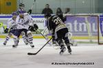 Photo hockey match Rouen - Brest  le 14/12/2013