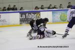 Photo hockey match Rouen - Brest  le 14/12/2013