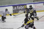 Photo hockey match Rouen - Brest  le 01/11/2014