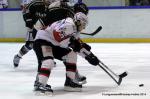 Photo hockey match Rouen - Brianon  le 28/01/2014