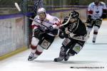 Photo hockey match Rouen - Brianon  le 28/01/2014