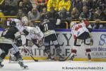 Photo hockey match Rouen - Brianon  le 28/01/2014