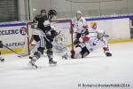 Photo hockey match Rouen - Brianon  le 28/01/2014